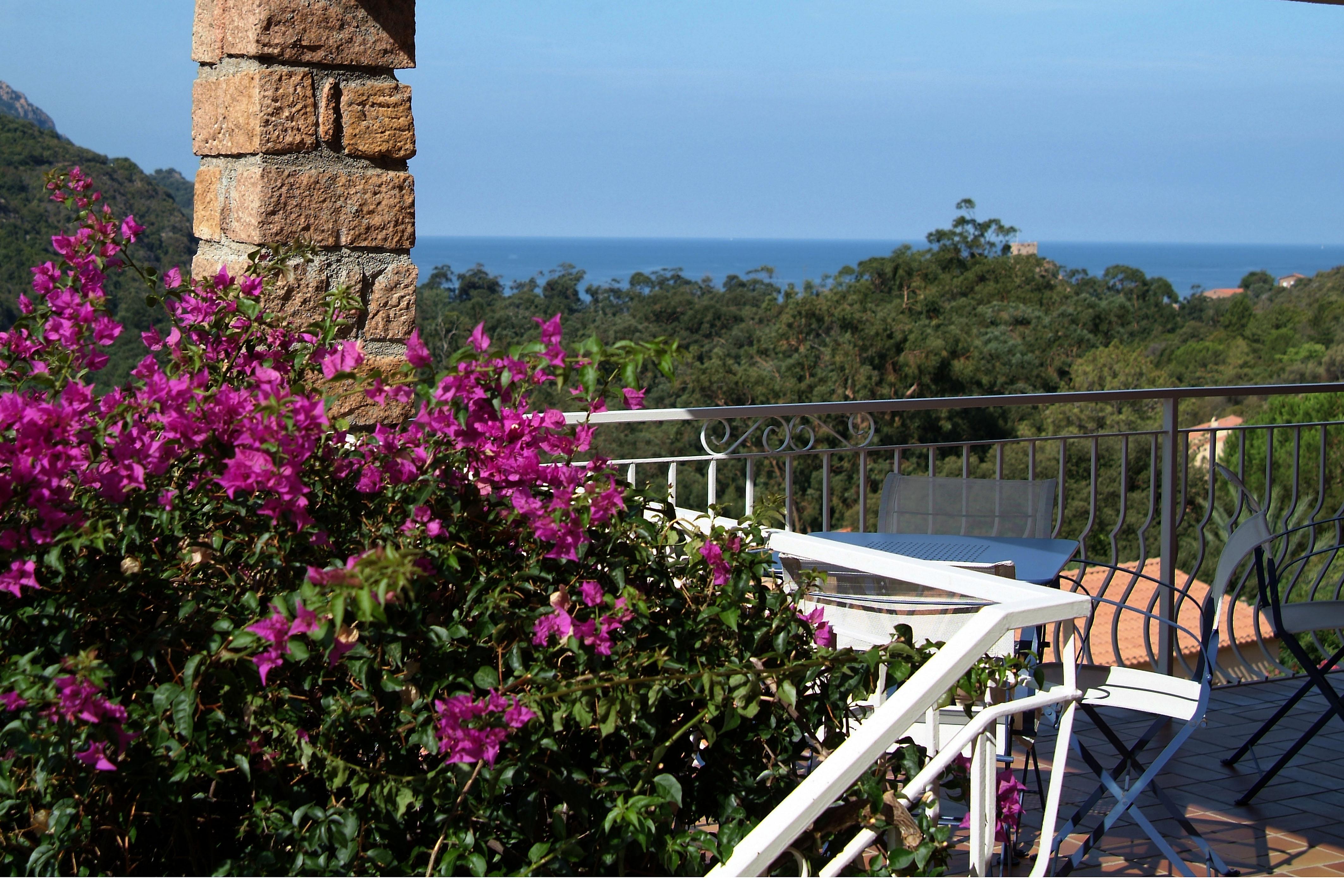 Capo D'Orto - Porto - Corse Hotel Ngoại thất bức ảnh