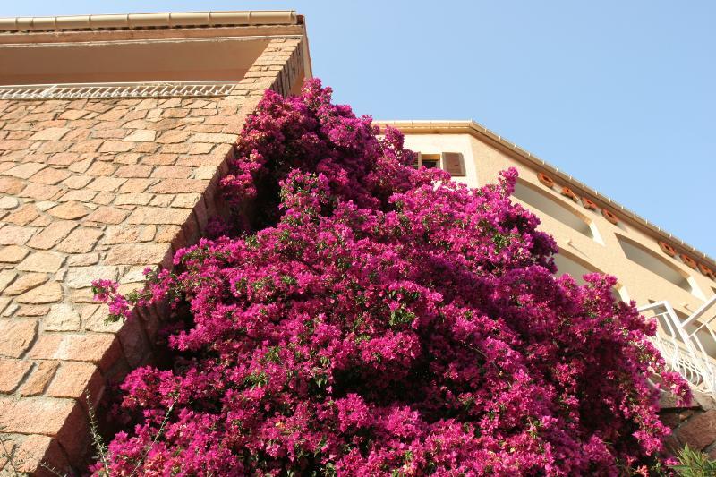 Capo D'Orto - Porto - Corse Hotel Ngoại thất bức ảnh